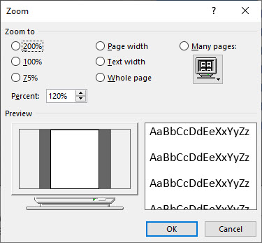 Word Zoom Options