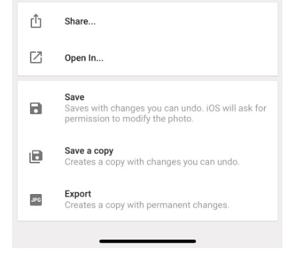 iPhone Crocked Photo Cropped 8