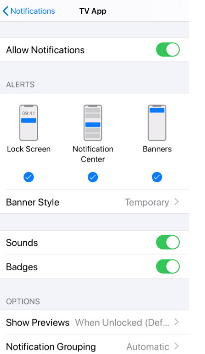 iPhone Notifications 6