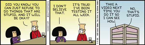 Dilbert and Stupid Again