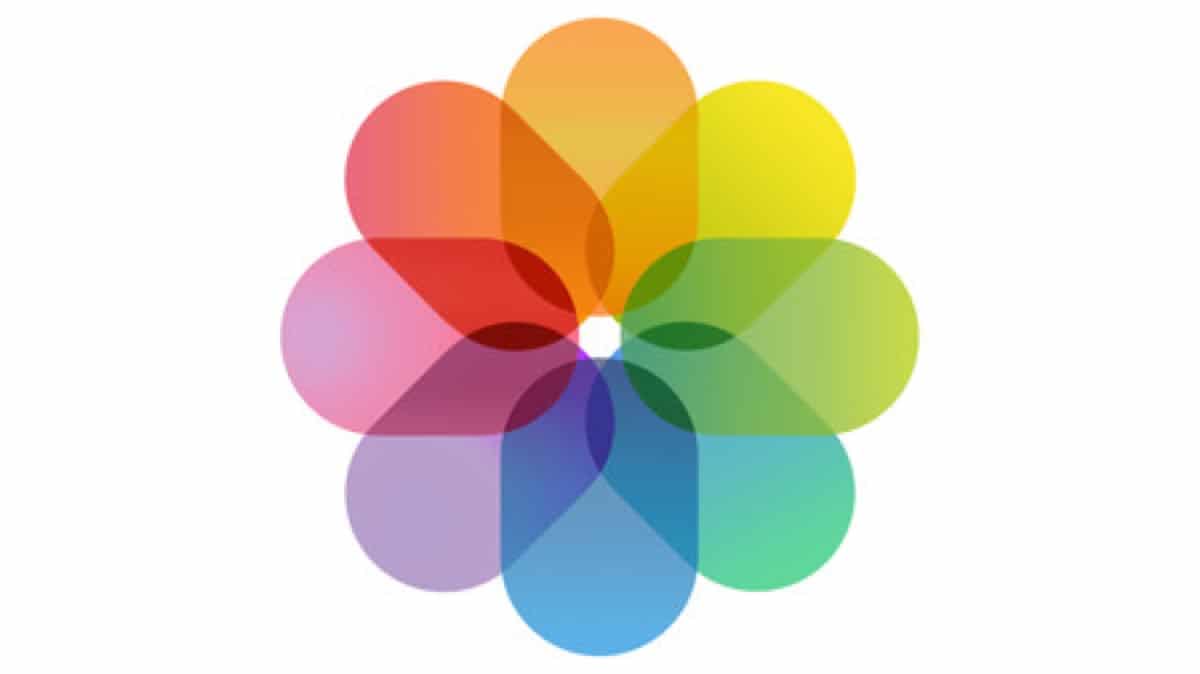 How to Use “Shared with You” on&nbsp;iPhone/iPad