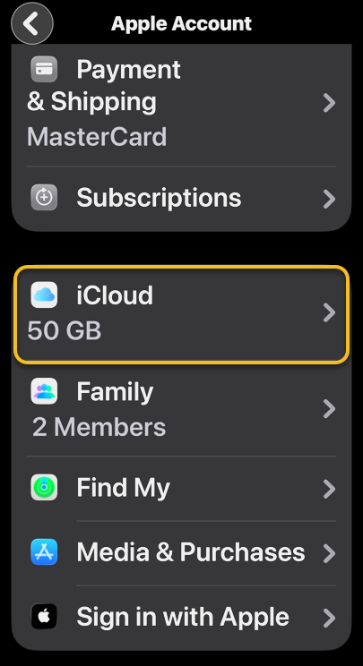 iPhone Backup 3