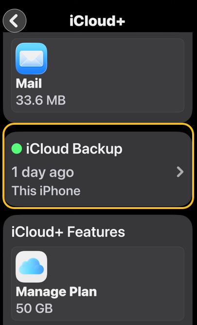 iPhone Backup 4
