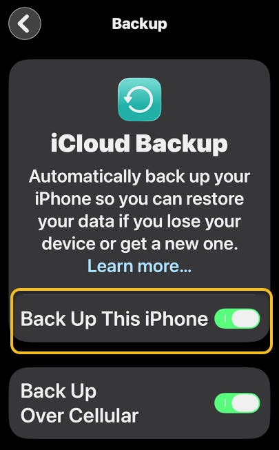iPhone Backup 5