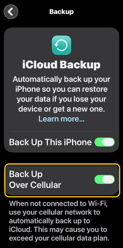 iPhone Backup 6