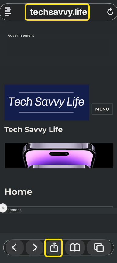 Website 1